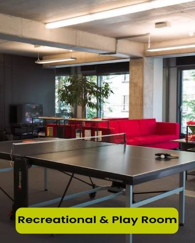 Recreational & Play Room